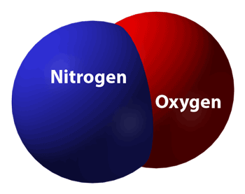 Nitric oxide molecule